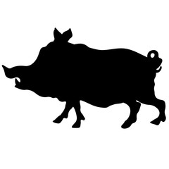 a wild boar. Black vector silhouette of a pig