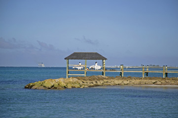 ocean dock