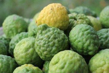 Obraz premium Fresh bergamot from the tree, closed up