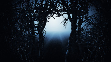 Spooky Tree Dark Night ./Halloween horror background.
