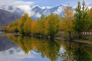 foliage trees reflection n fog mtns