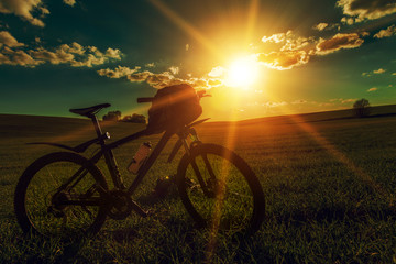 Naklejka premium Mountain biking down hill descending fast on bicycle. View from