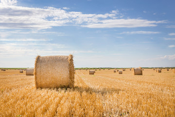 Fototapeta na wymiar straw bales in summer