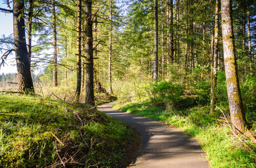 Mima Mounds Natural Area Preserve