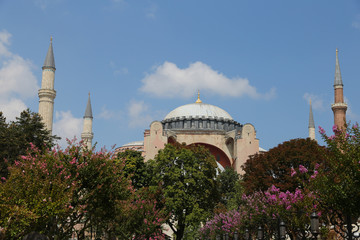 Fototapeta na wymiar Hagia Sophia museum in Istanbul City