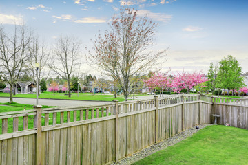 Fototapeta premium View of residential neighborhood from the back yard