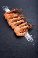 Shrimps on black board