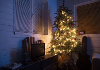 christmas tree at home