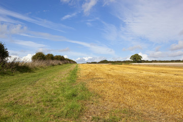 footpath through agricultural land
