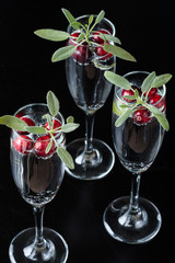 Cranberry Sage Beverages