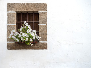 Old and rustick window on a white wall