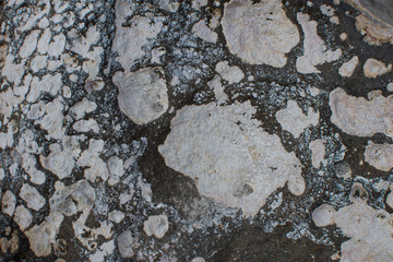 Highly Textured Rock on Beach of Great Salt Lake, Utah