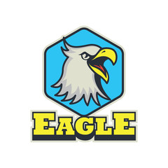 Modern sport logo for team. Eagle mascot logo template