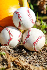 Objects: Pumpkins and baseballs