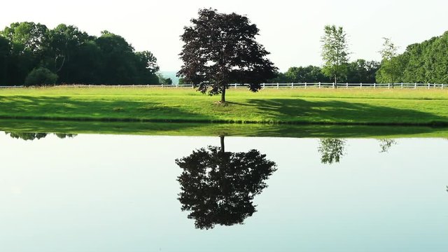 Scenic lake, tree reflection, beauty Philmont, New York.