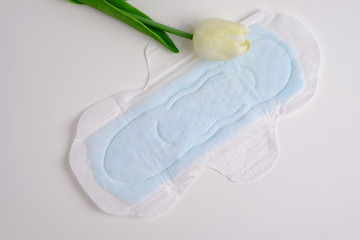 Sanitary pad.