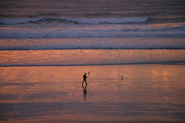 Fototapeta na wymiar ppl on beach w ocean sunset