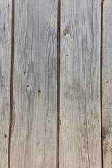 Obraz premium Wood unpainted closeup texture background