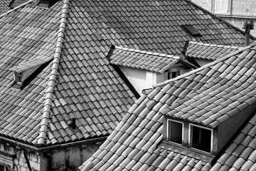 rooftops n windows 2 bw