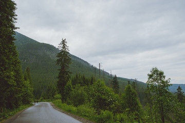 asphalt road in mountain