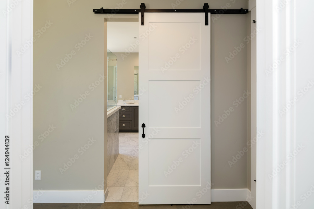 Wall mural barn type door sliding door hanging. modern sliding door.