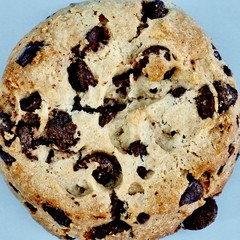 Choc Chip Cookies