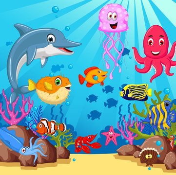 funny cartoon sea life for you design