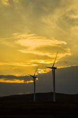 Obraz premium wind turbines