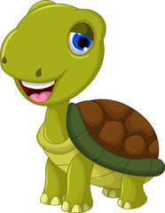 cut cartoon turtle for you design