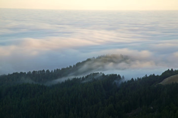 Fototapeta na wymiar rolling fog ocean