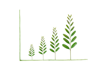 Tree leaves arranged as a green graph / csr / sustainable development /corporate social responsibility