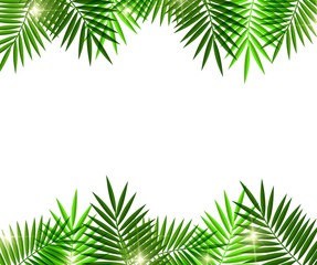 Naklejka na ściany i meble Leaves of palm tree on white background