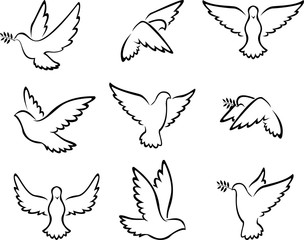 collection of Dove birds logo for peace concept and wedding design