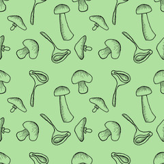 Vector illustration, Seamless green background with different mushrooms. Hand drawn contour lines and strokes. Graphic vector illustration
