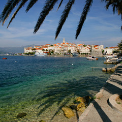 korcula palm-tree cityview