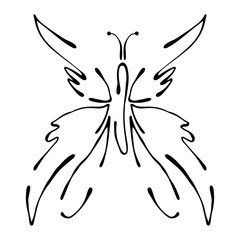 Vector black and white  illustration of insect. Butterfly isolated on the white background. Hand drawn contour lines and strokes. Decorative logo, icon, sign. Graphic vector illustration.