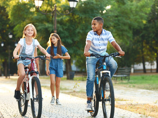 Friends riding bicycles and walking in the park