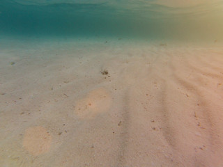 underwater caribbean sand