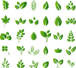 Set of green leaves design elements for you design