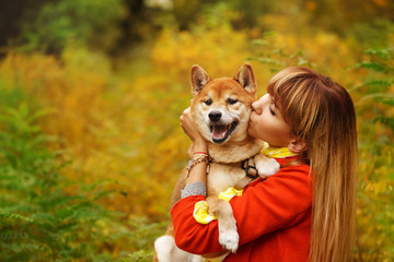 Girl kisses a Shiba Inu dog in autumn park.