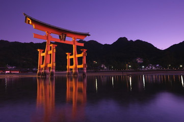 厳島神社大鳥居の夜景