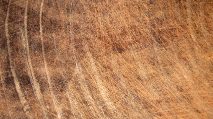 Background wood
