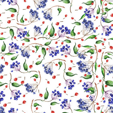 Vintage seamless botanical pattern. Blue and red mountain ash berries watercolor.