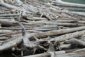 Artistic driftwood
