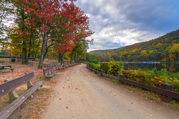 A path through Bear Mountain State Park. New York State. During fall foliage season - 124954535
