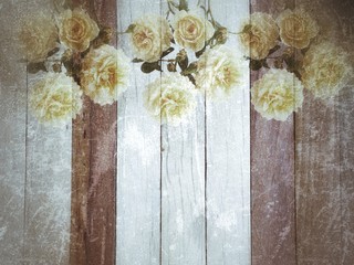 Beautiful English rose flower on vintage background