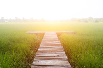 Blurred rice field and wood bridge