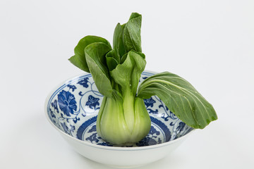 Bok Choy raw in a chinese bowl single