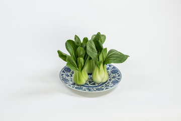 Raw Bok Choy in a group of three on a chinese plate wide