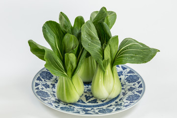 Raw Bok Choy in a group of three on a chinese plate